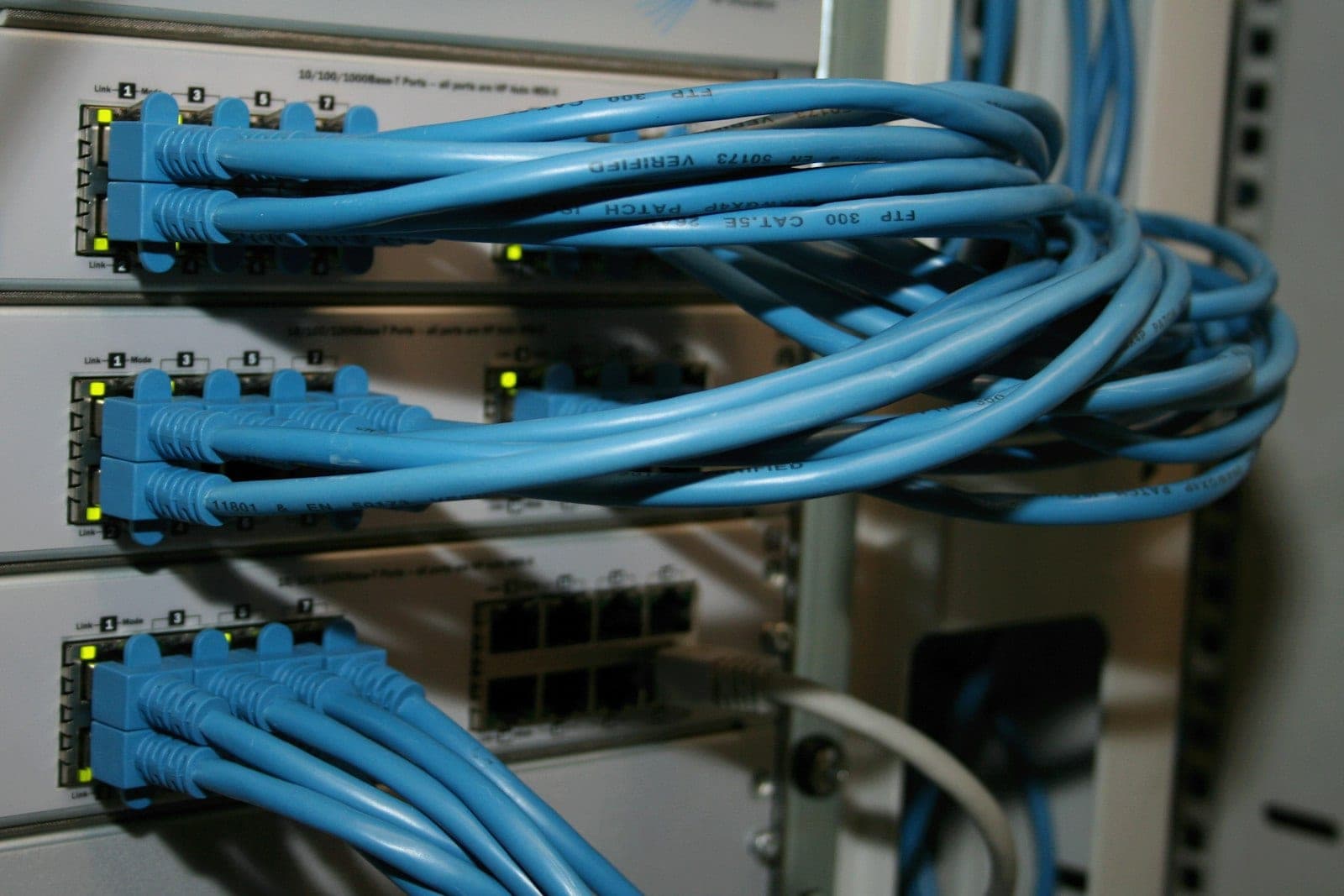 Blue Ethernet patch cables looped neatly into the ports of a rack-mounted switch